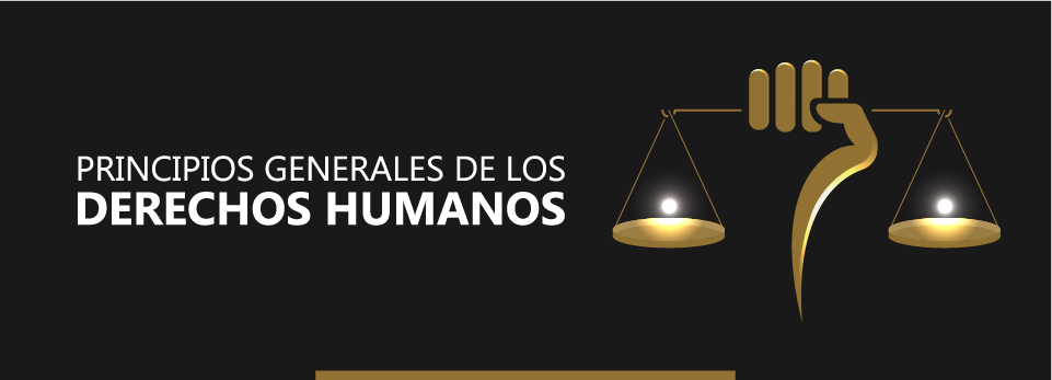 Principios generales de los derechos humanos IHCJ-0001