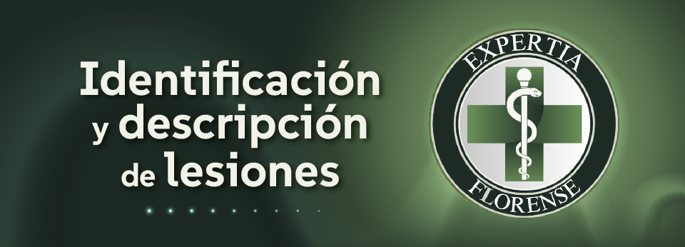 Identificación y descripción adecuada de lesiones EF-0001